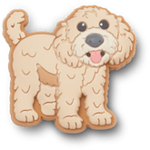 Crocs - b'Golden Doodle Puppy Jibbitz Shoe Charm'