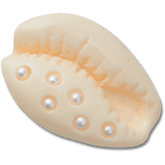 Crocs - Pearl Puka Shell Jibbitz™ charms
