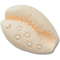 Crocs - Pearl Puka Shell Jibbitz™ charms