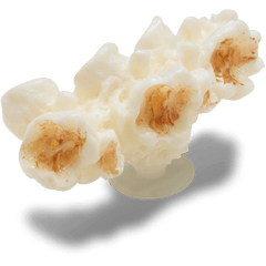Crocs - Realistic Popcorn 2 Jibbitz™ charms