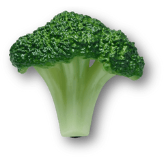Crocs - Realistic Broccoli Jibbitz™ charms