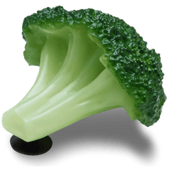 Crocs - Realistic Broccoli Jibbitz™ charms