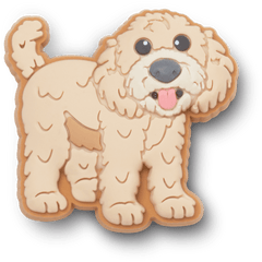 Crocs - b'Golden Doodle Puppy Jibbitz Shoe Charm'