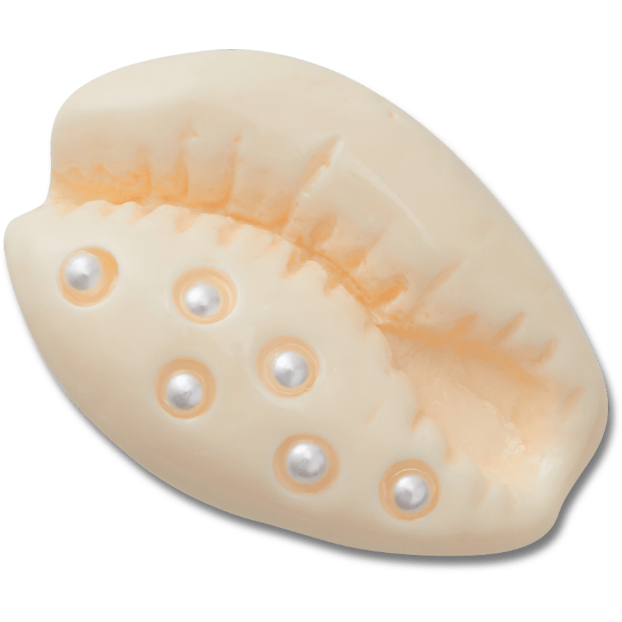 Crocs - Pearl Puka Shell Jibbitz™ charms
