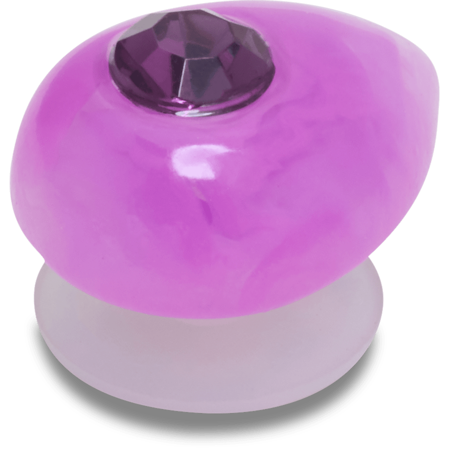Crocs - Amethyst February Birthstone Collection Jibbitz™ charms