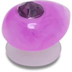 Crocs - Amethyst February Birthstone Collection Jibbitz™ charms