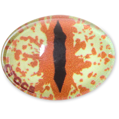 Crocs - Hazel Animal Eye Jibbitz™ charms