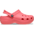 Guava