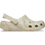 Bone / Multi