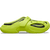 Citrus